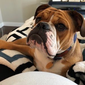 Meet your Posher, Kerri